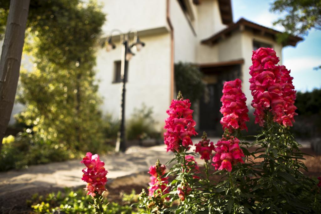 Villa Golan Кацрин Экстерьер фото